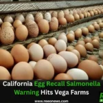 California egg recall