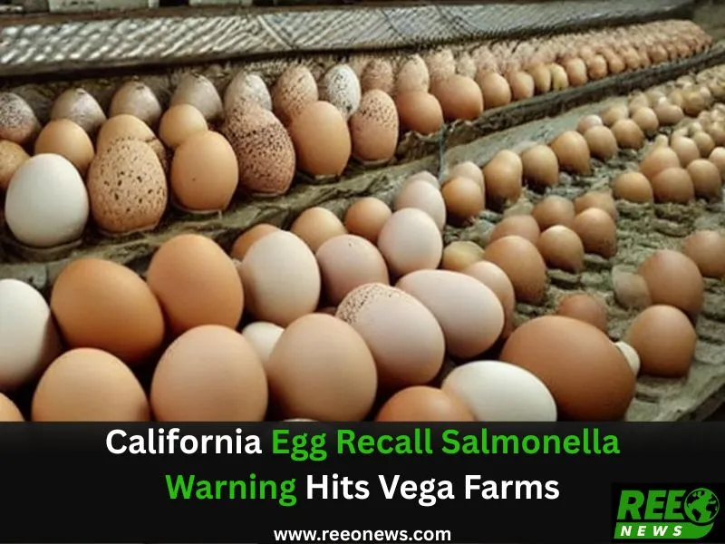 California egg recall