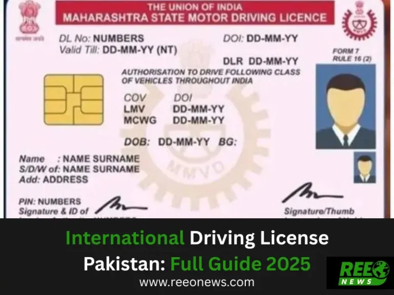 International Driving License