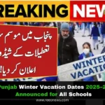 Punjab Winter Vacation Dates 2025–26