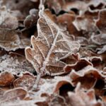 Snow and ice warning