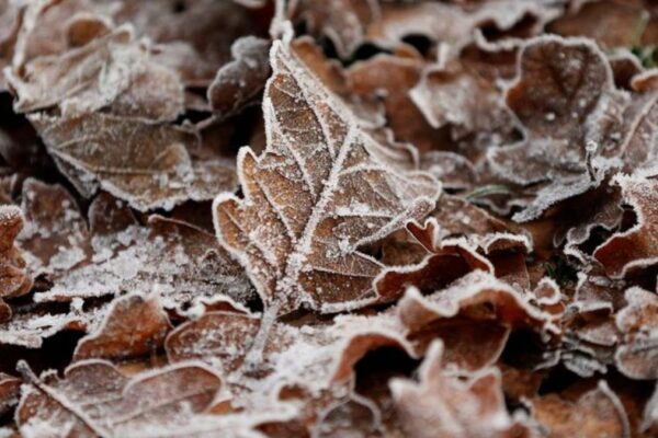 Snow and ice warning